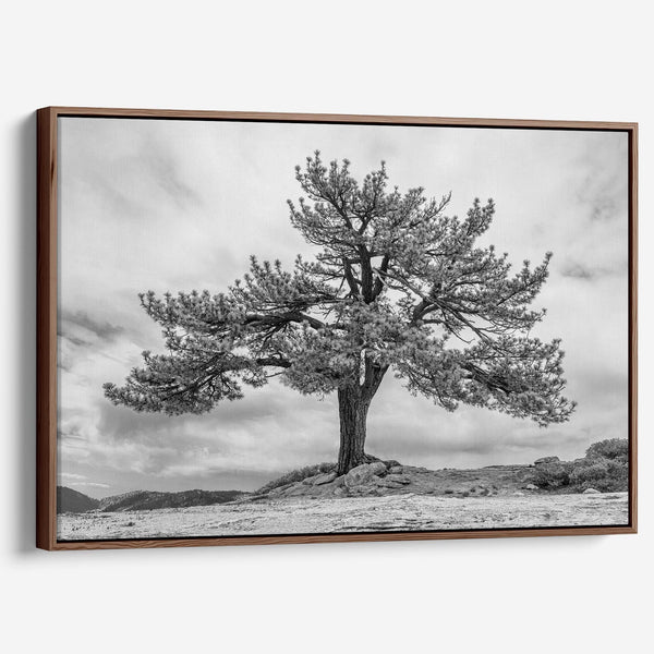Close-up of black and white canvas texture showing detailed tree branches in scenic mountain setting.