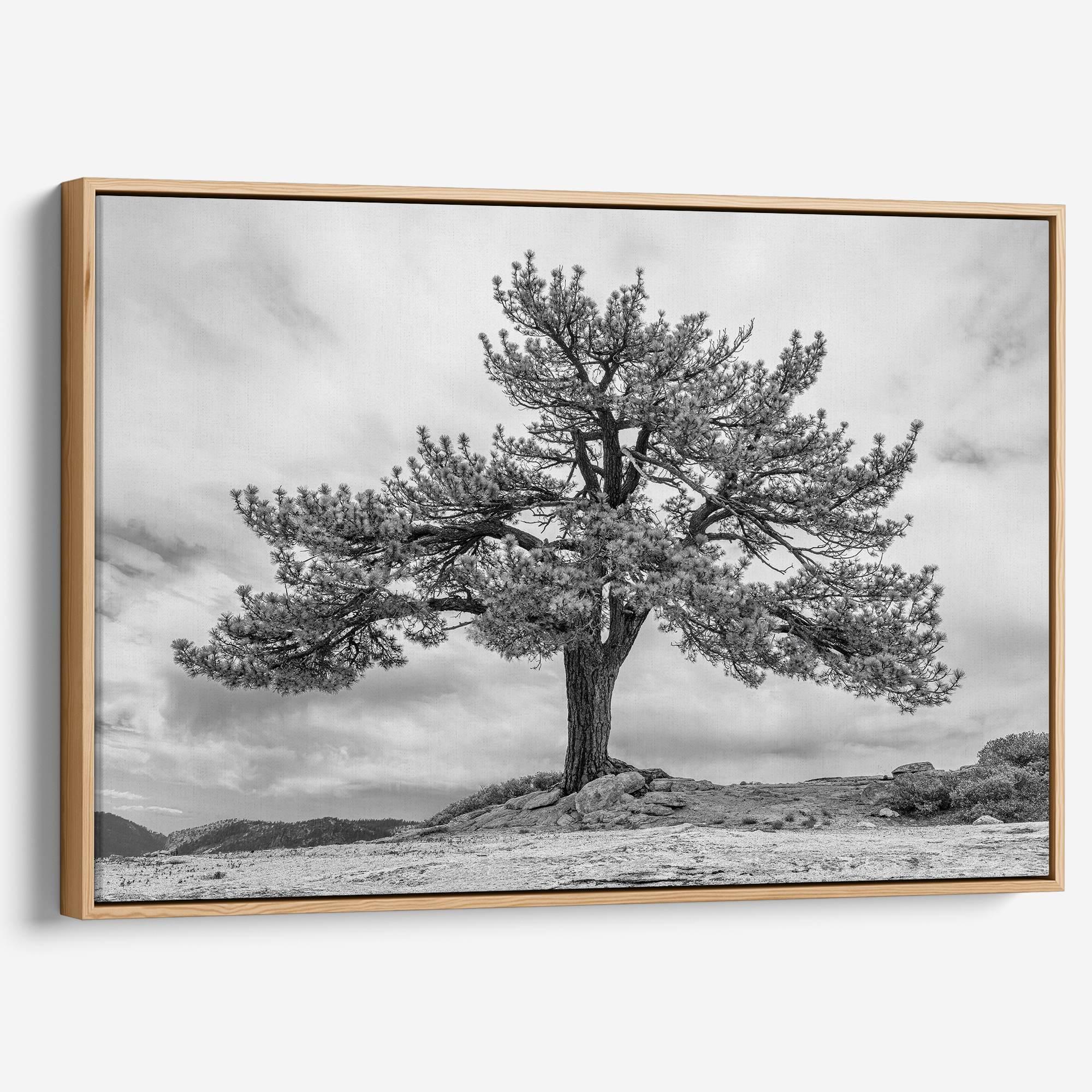 Close-up of black and white canvas texture showing detailed tree branches in scenic mountain setting.