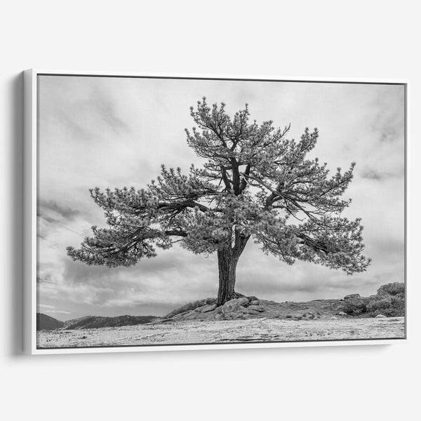 Close-up of black and white canvas texture showing detailed tree branches in scenic mountain setting.