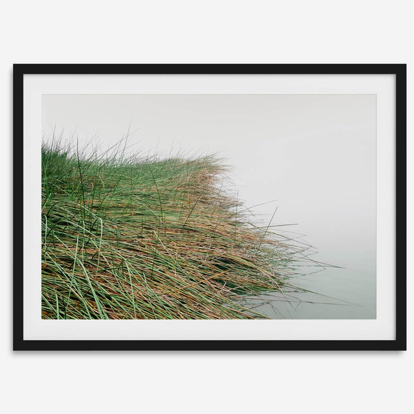 Minimalist nature artwork of coastal grasses leaning towards calm water on a misty day