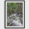 Fine Art Nature Forest Print - Forest River Calming Wall Art, Large Forest Artwork, Framed or Unframed Yosemite Park Poster for Home Decor