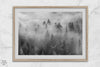 Monochrome foggy forest scene with tall pine trees fading into mist.