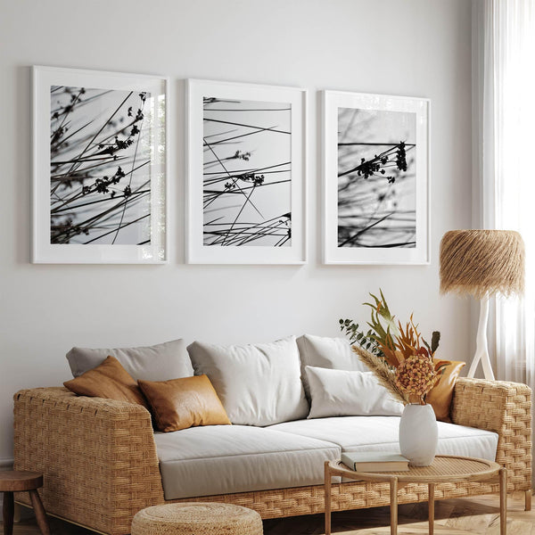 Minimalist black and white floral triptych with abstract plant silhouettes and delicate botanical linework.