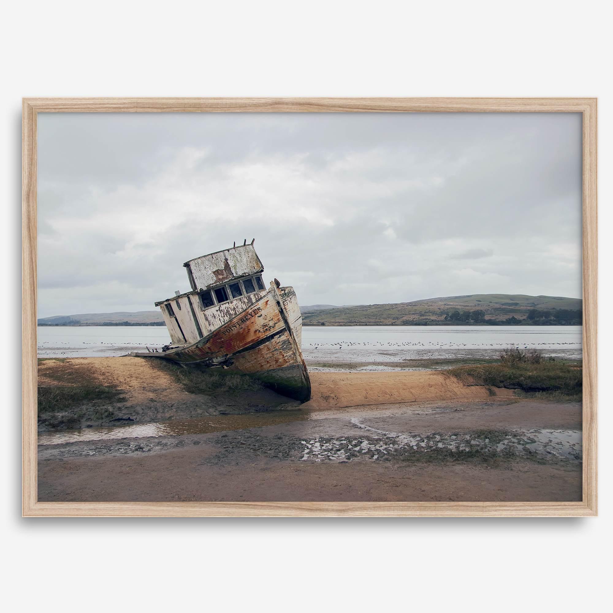 Weathered shipwreck resting on a quiet coastal shore, surrounded by marshland and a moody, overcast sky.