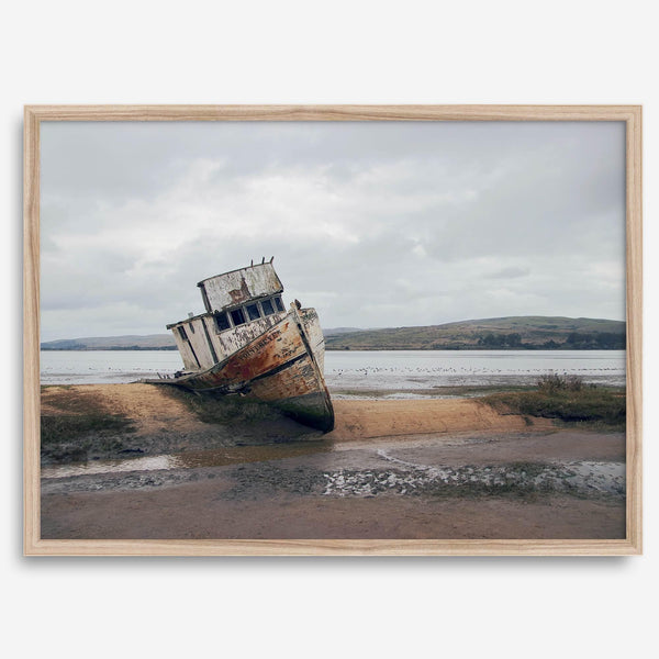Weathered shipwreck resting on a quiet coastal shore, surrounded by marshland and a moody, overcast sky.
