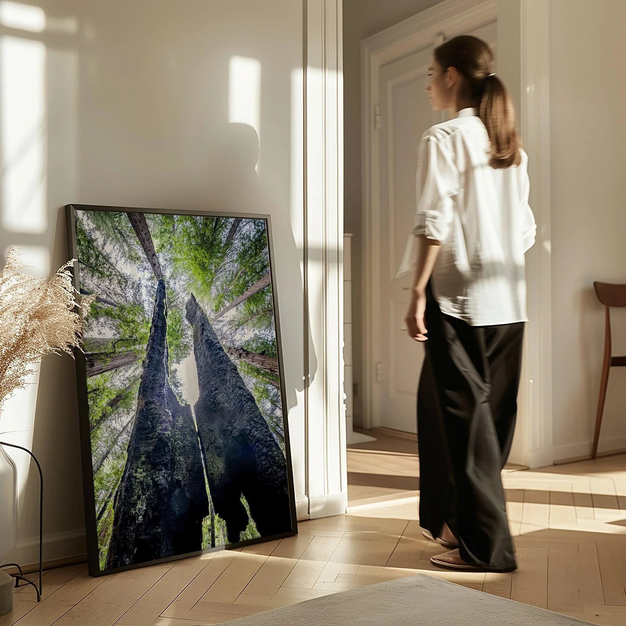 A forest fine art photography print looking up at towering redwoods with charred trunks and a vibrant green canopy in a tranquil forest setting.