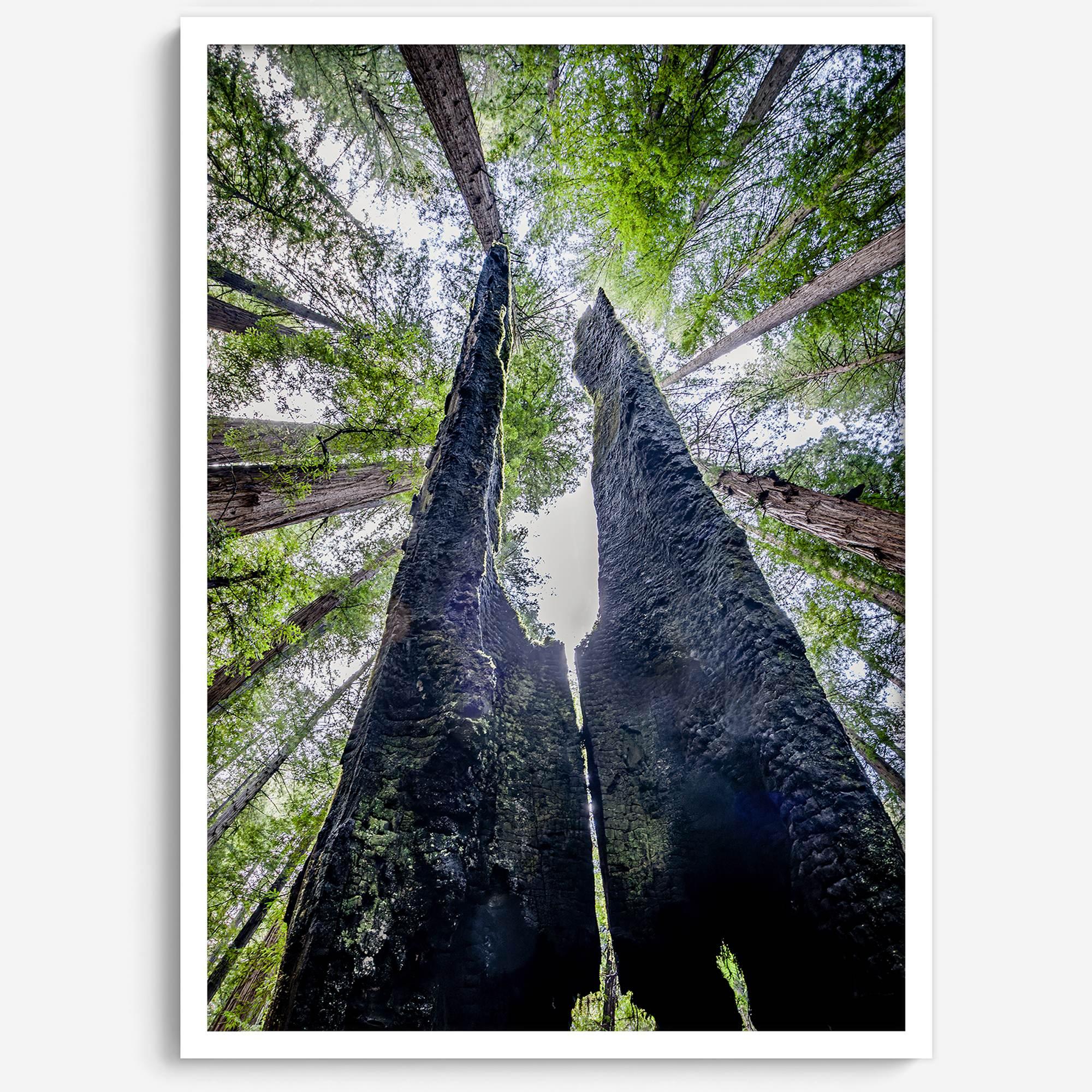 Majestätisches Vordach