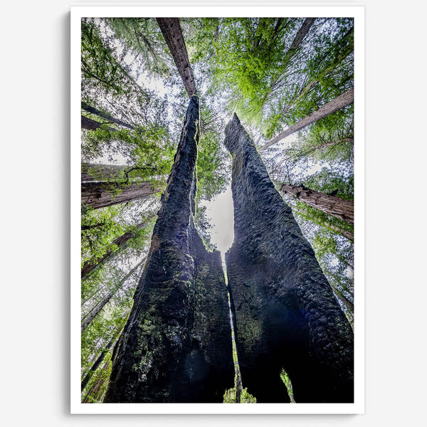 Majestätisches Vordach