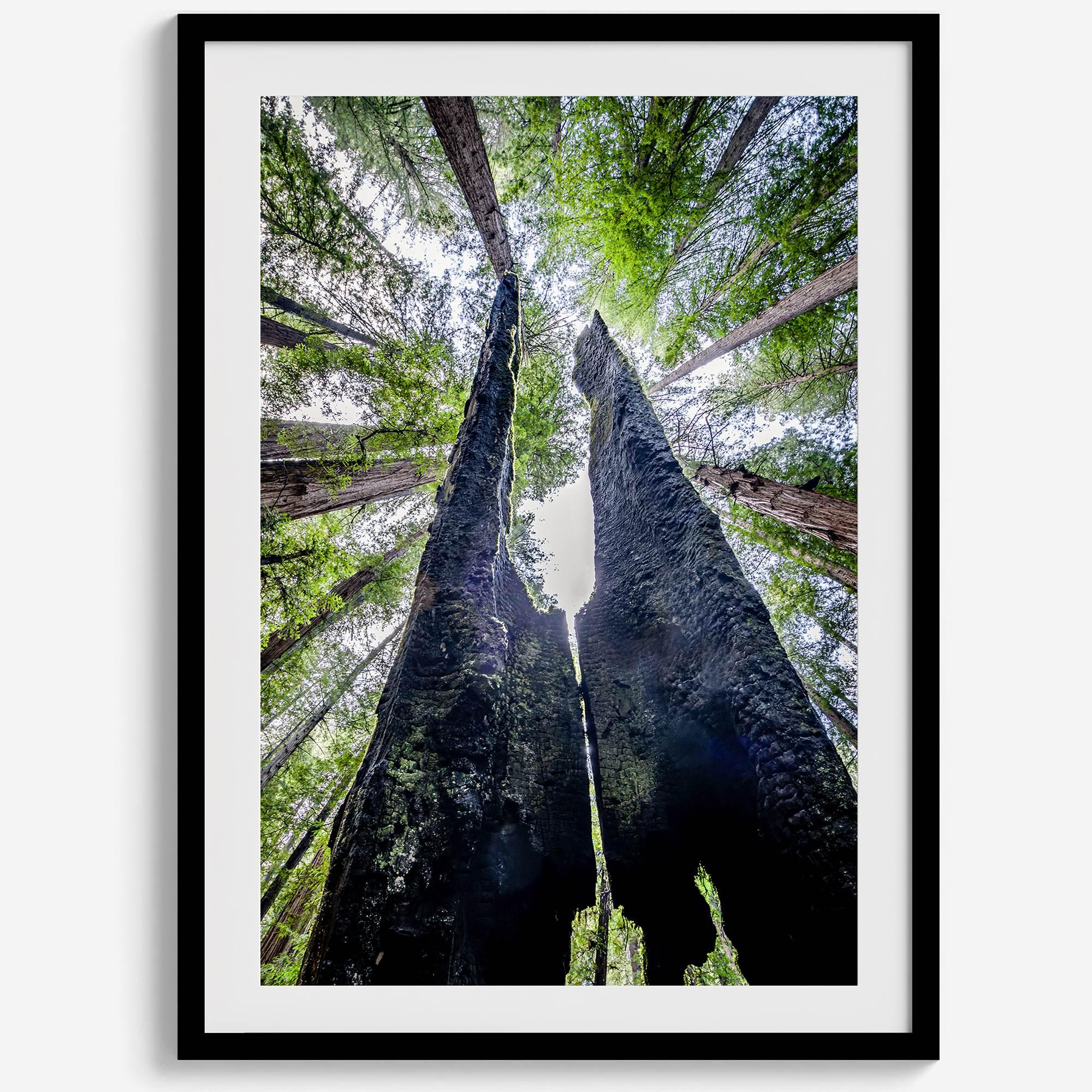 Majestätisches Vordach