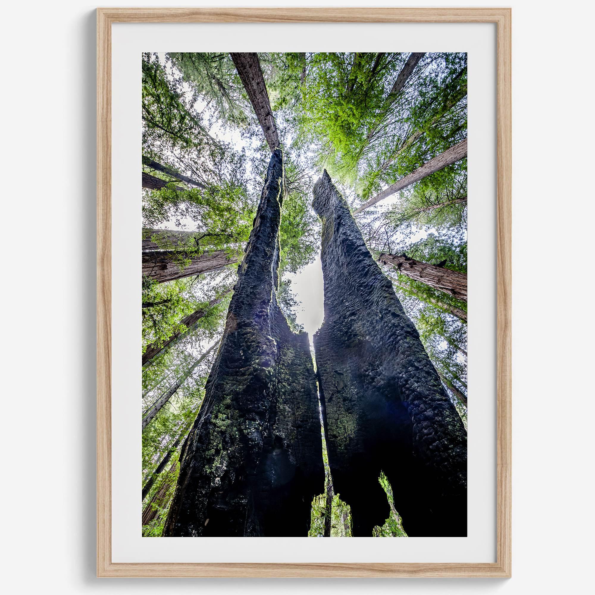 Majestätisches Vordach