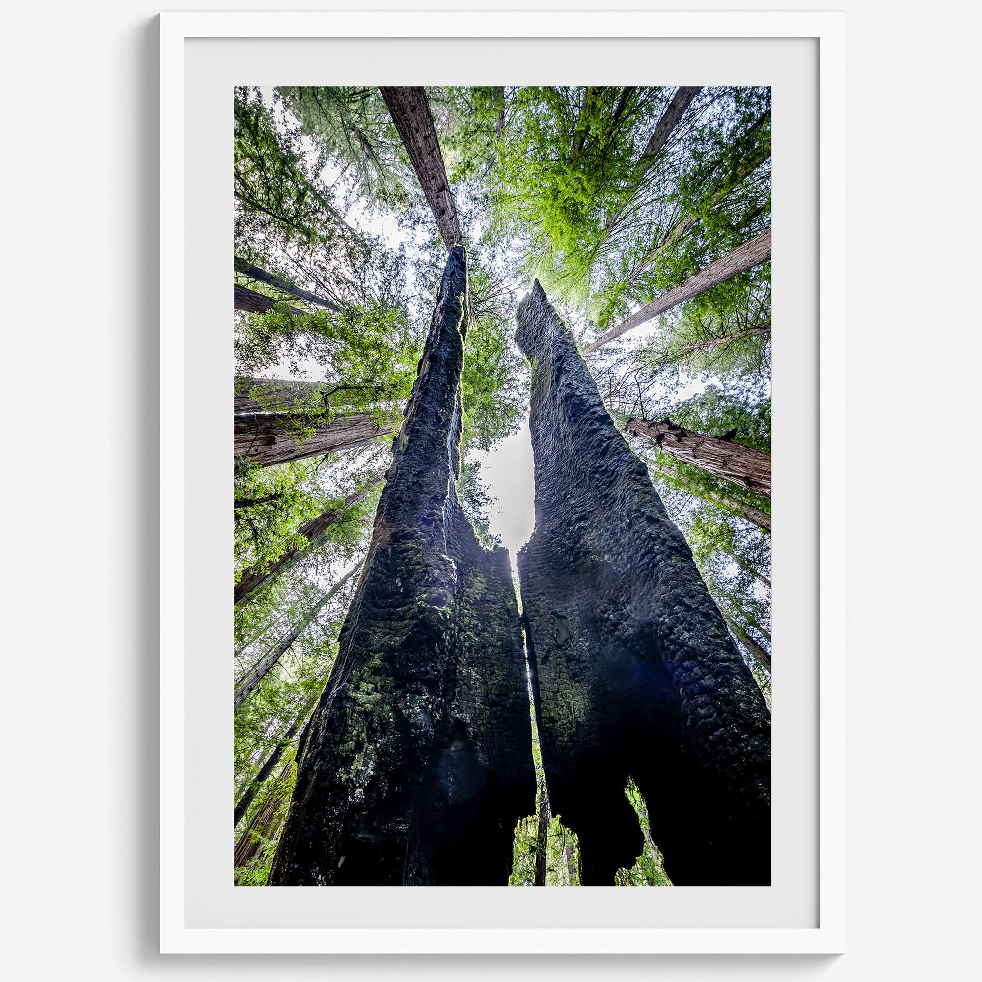 Majestätisches Vordach