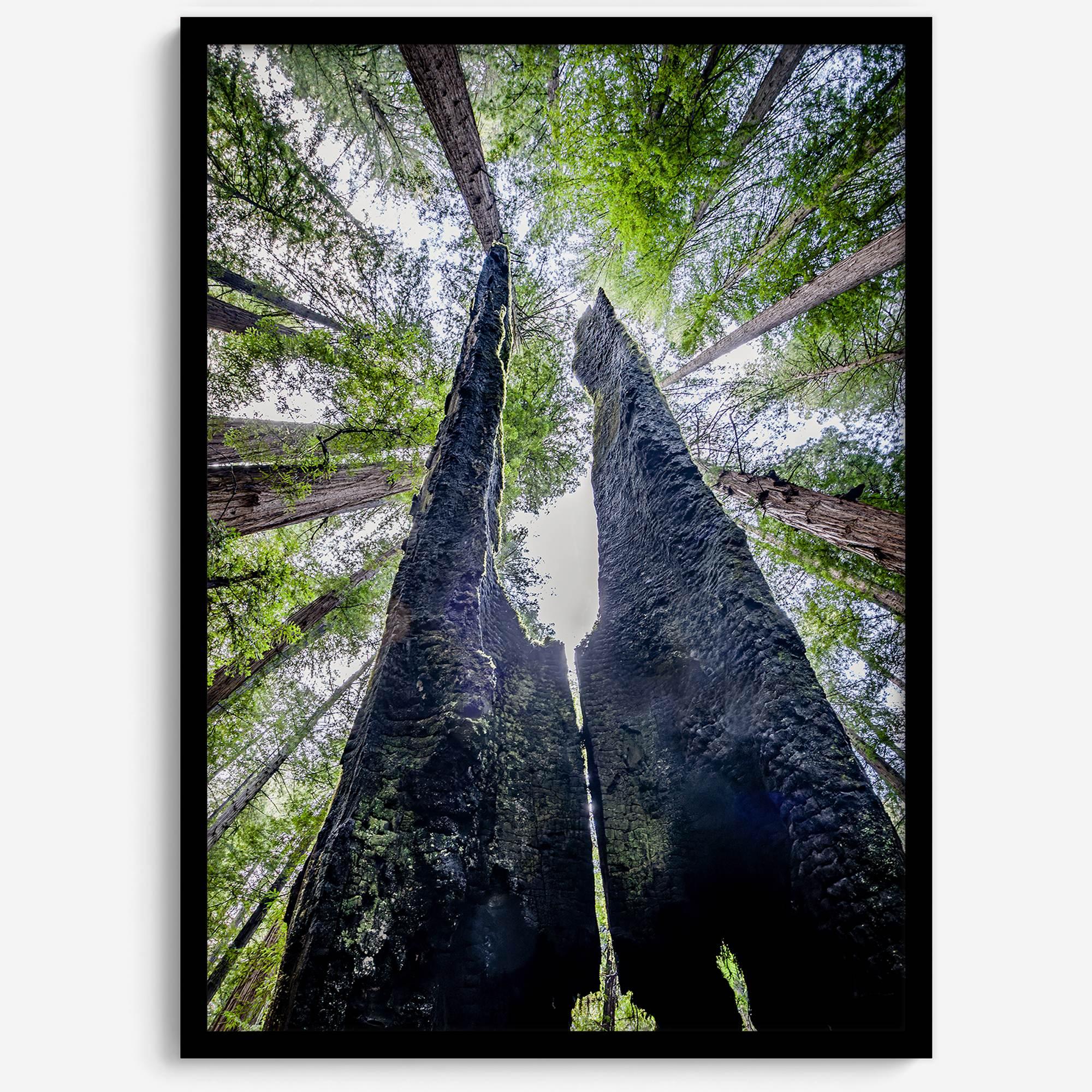 Majestätisches Vordach