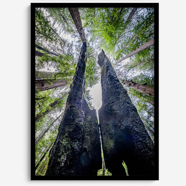 Majestätisches Vordach