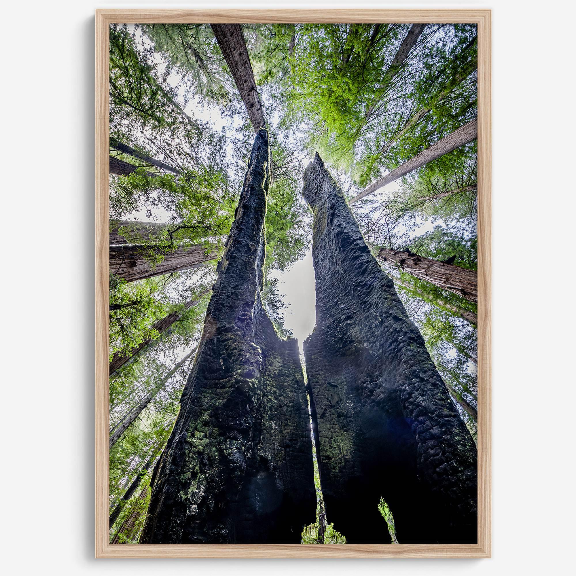 Majestätisches Vordach