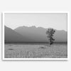 Teton Tranquility