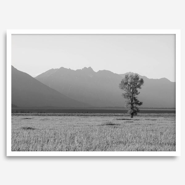 Teton Tranquility