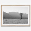 Teton Tranquility
