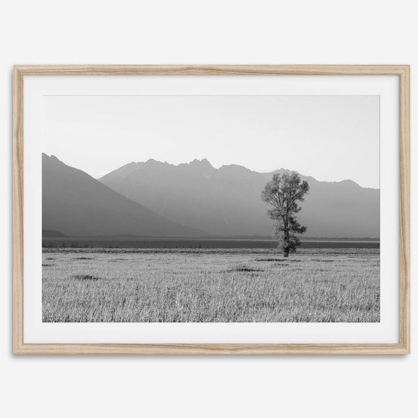 Teton Tranquility