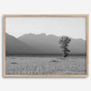 Teton Tranquility