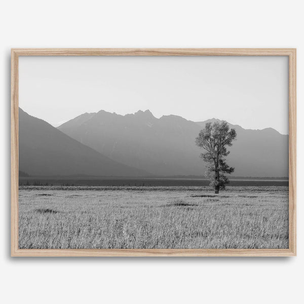 Teton Tranquility
