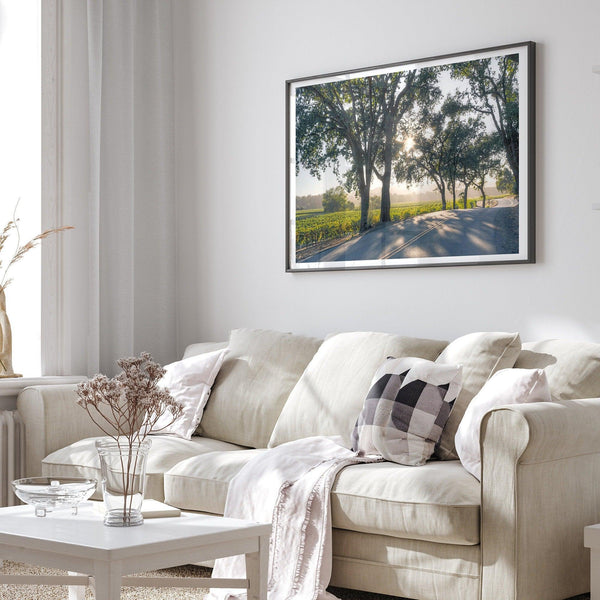Step into California Wine Country with our fine art print of a winding road through the vineyards of the Russian River in Sonoma Valley. The rays of the setting sun are visible behind the trees, spreading warmth across THE vineyards.