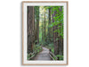 A set of three fine art California Redwood forest prints showcasing lush, stunning, and inspiring forest paths. Symbolizing the different paths we can take in life.