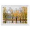 A fine art unframed or framed fall print from Prague featuring beautiful colorful trees with foliage on the canal.