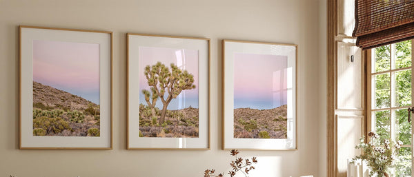 Joshua Tree Wall Art Collection