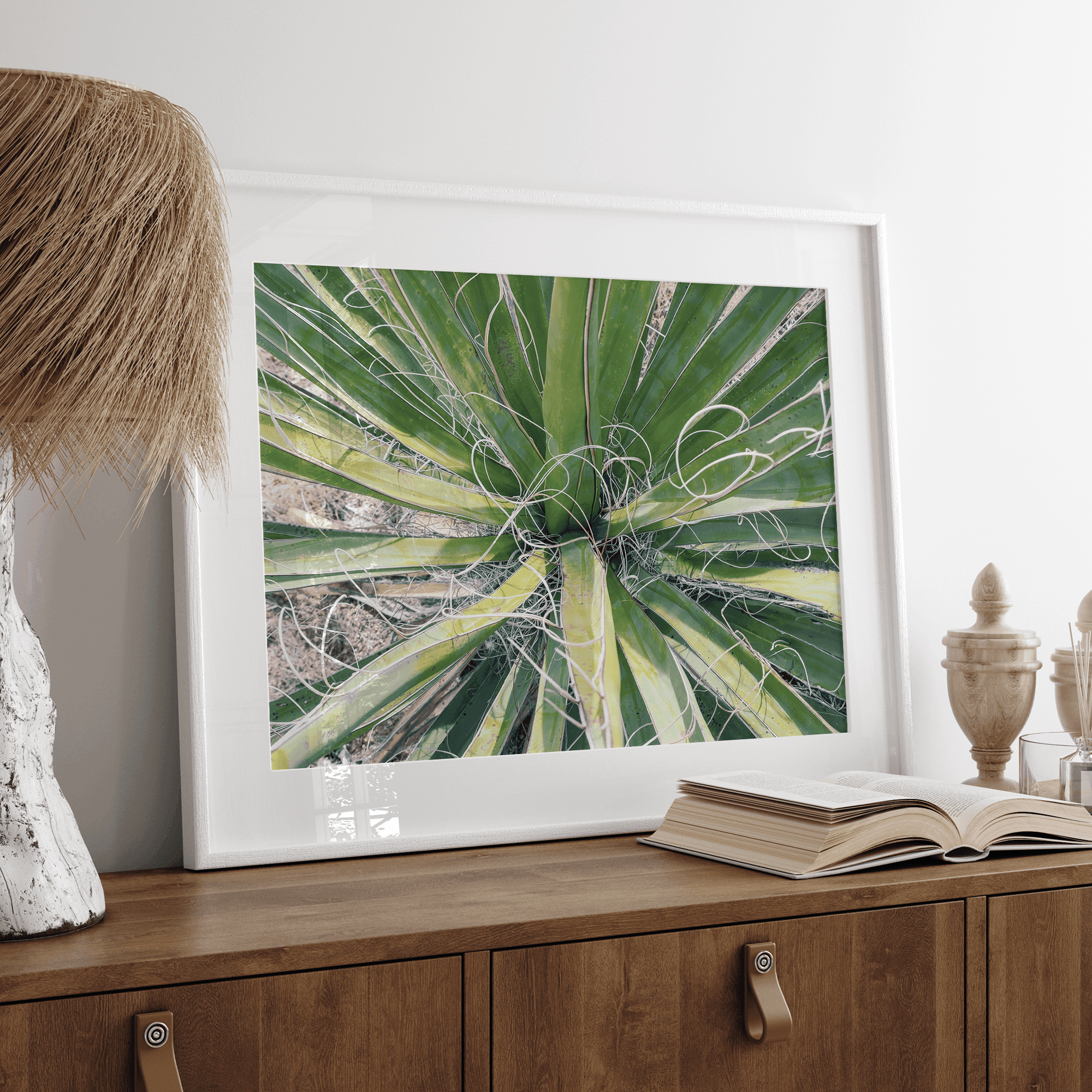 A fine art modern abstract minimalist green cactus photography print from Joshua Tree National Park. Add color to your space with this green nature wall art.