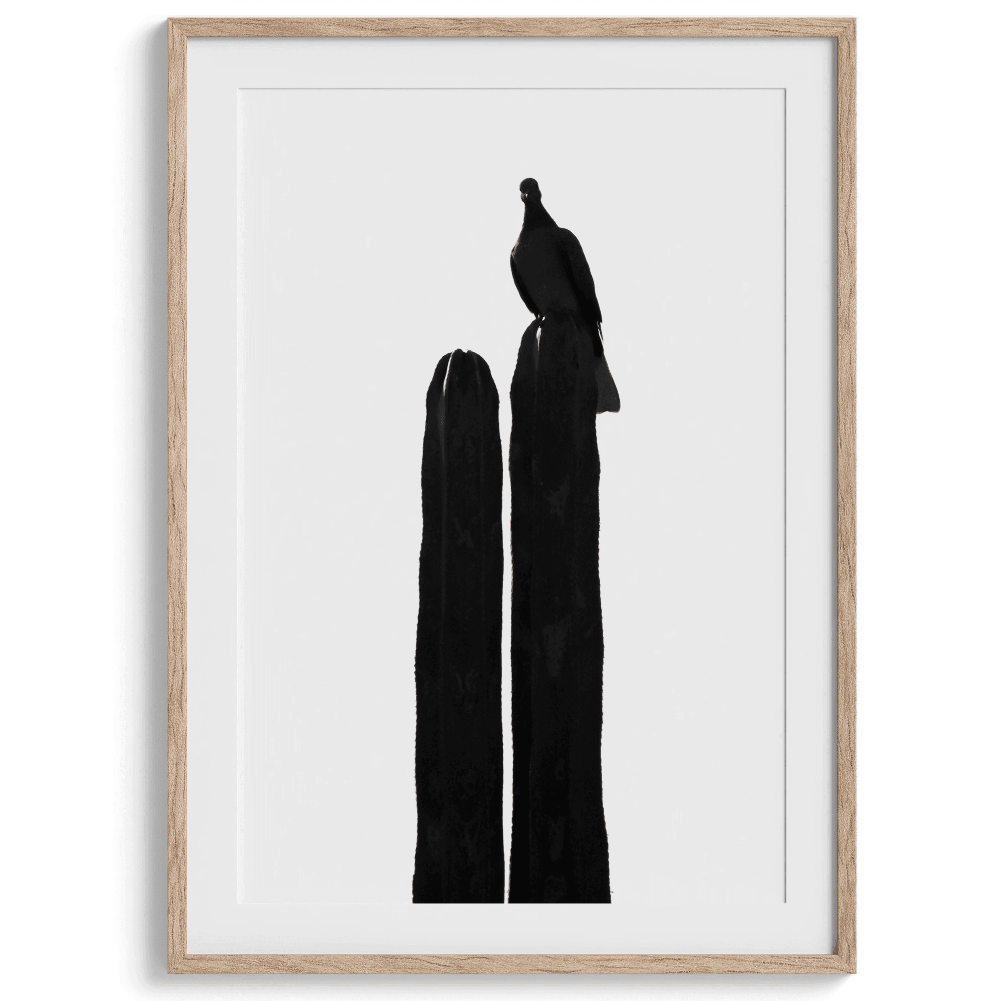 A minimalist fine art black and white cactus photography print showcasing a bird perched on the tip of a cactus.