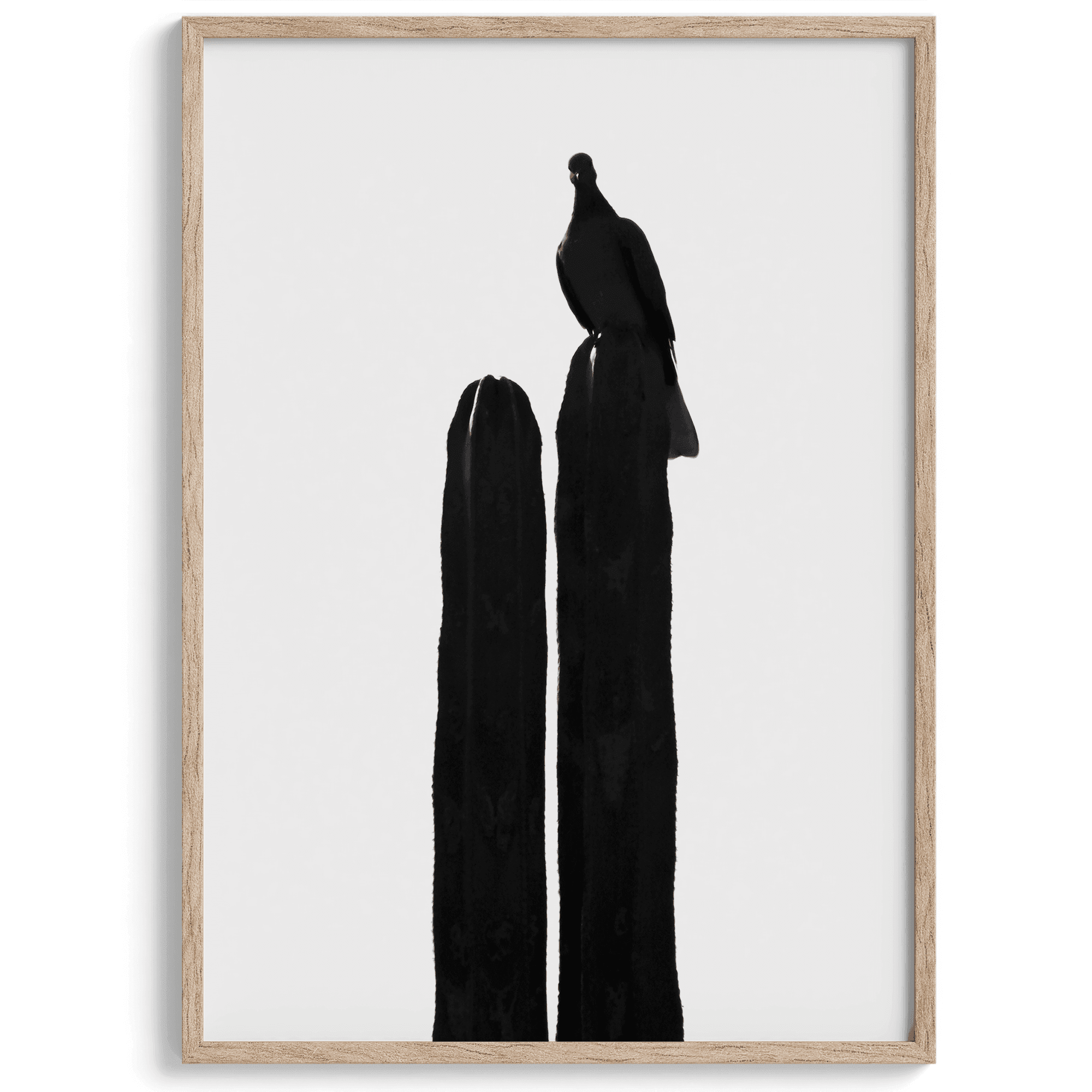 A minimalist fine art black and white cactus photography print showcasing a bird perched on the tip of a cactus.