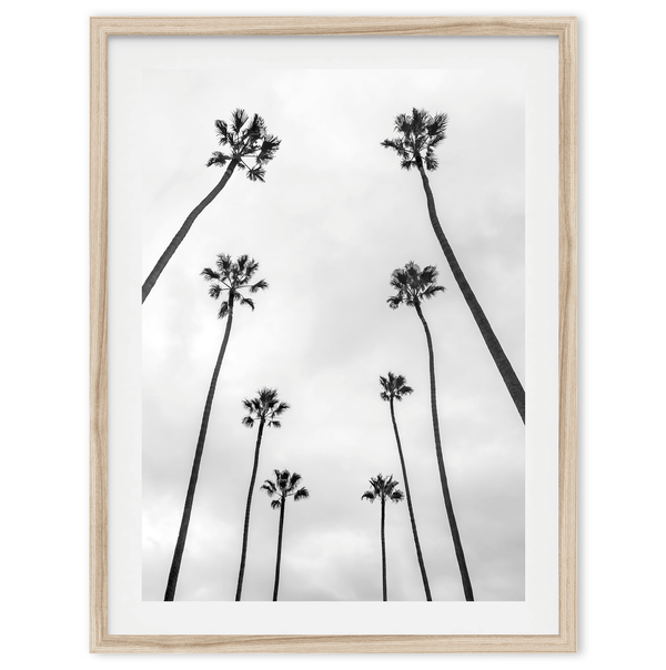 LA Palms - Wow Photo Art