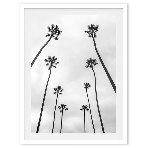 LA Palms - Wow Photo Art
