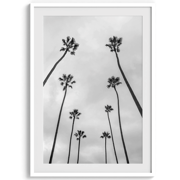 Black-and-White-Palm-Tree-Beach-Print-4