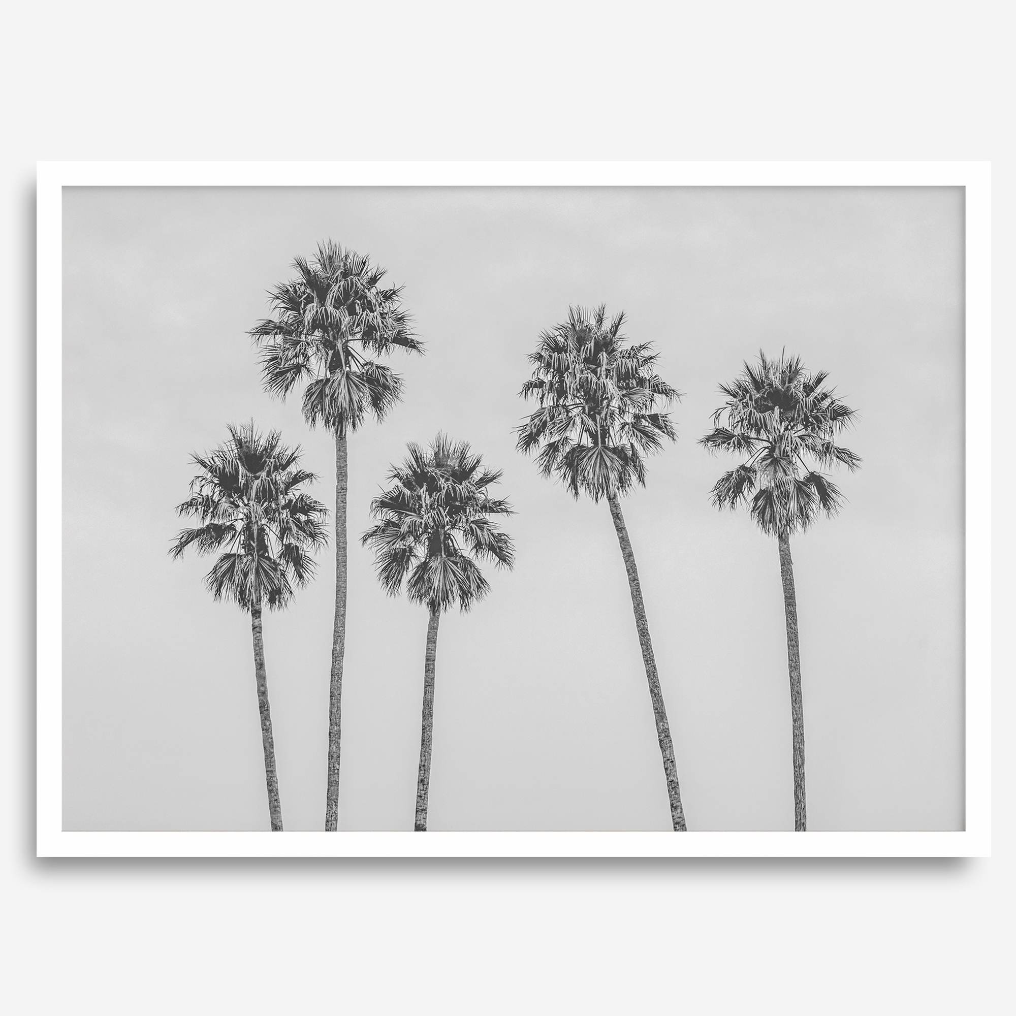 Black and White Palm Tree Fine Art Print - Minimalist Palm Trees Wall Art, Los Angeles Landscape Photography Art Print, Coastal Home Decor