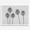 Black and White Palm Tree Fine Art Print - Minimalist Palm Trees Wall Art, Los Angeles Landscape Photography Art Print, Coastal Home Decor