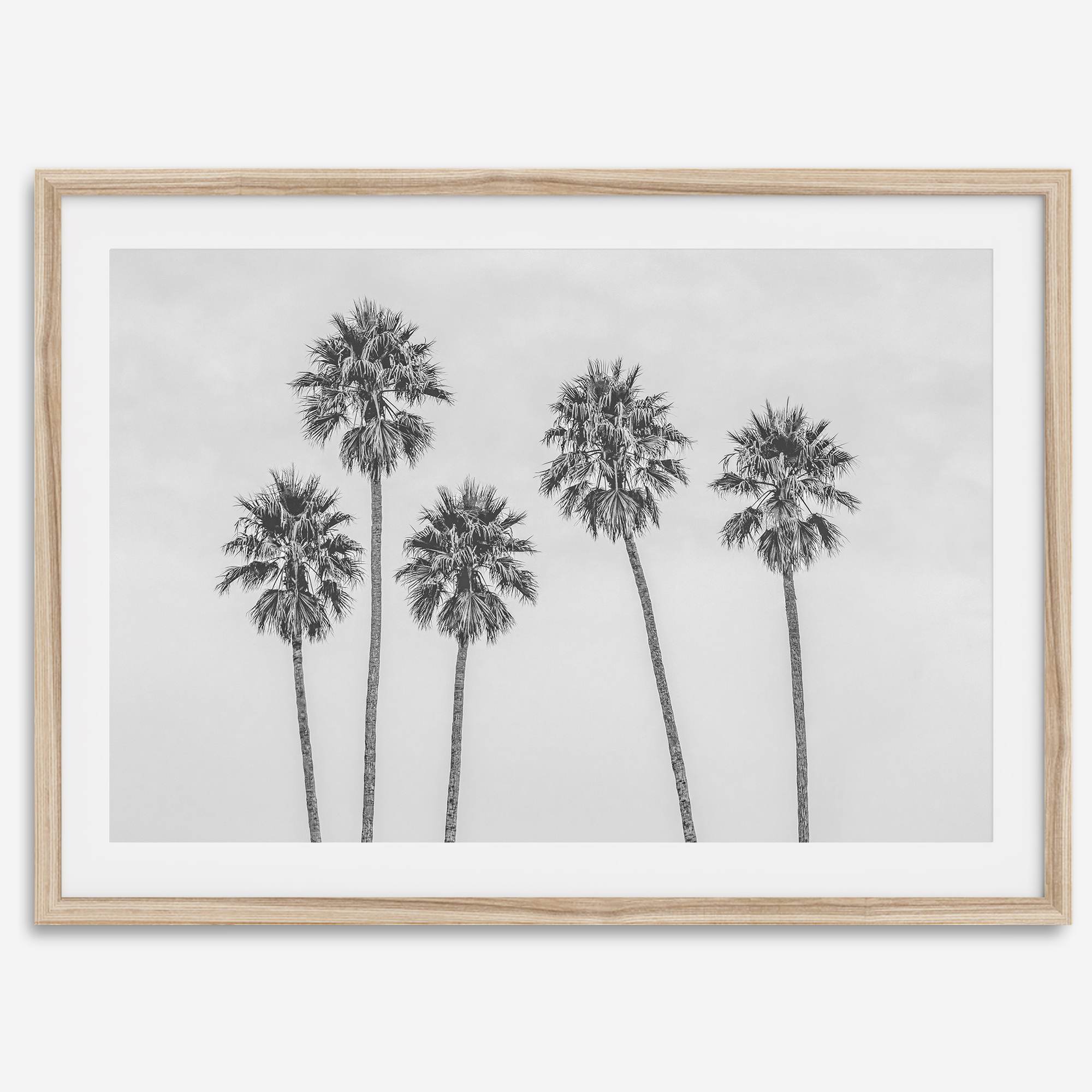 Black and White Palm Tree Fine Art Print - Minimalist Palm Trees Wall Art, Los Angeles Landscape Photography Art Print, Coastal Home Decor