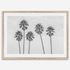 Black and White Palm Tree Fine Art Print - Minimalist Palm Trees Wall Art, Los Angeles Landscape Photography Art Print, Coastal Home Decor