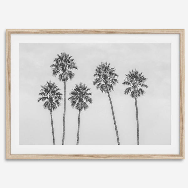 Black and White Palm Tree Fine Art Print - Minimalist Palm Trees Wall Art, Los Angeles Landscape Photography Art Print, Coastal Home Decor