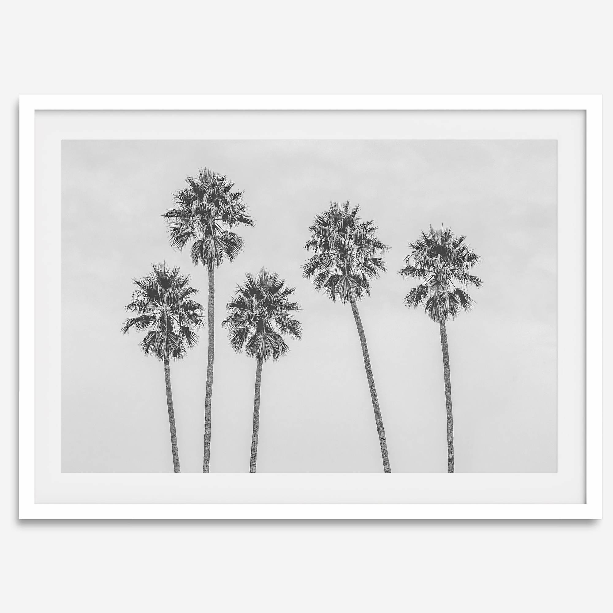Black and White Palm Tree Fine Art Print - Minimalist Palm Trees Wall Art, Los Angeles Landscape Photography Art Print, Coastal Home Decor