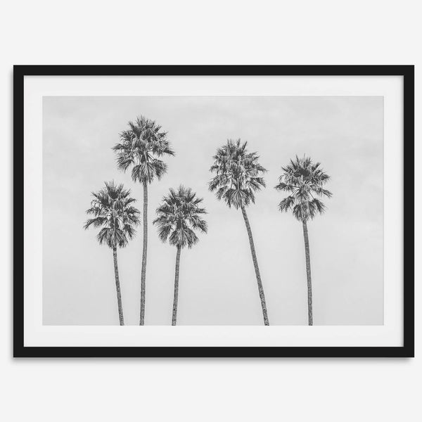 Black and White Palm Tree Fine Art Print - Minimalist Palm Trees Wall Art, Los Angeles Landscape Photography Art Print, Coastal Home Decor