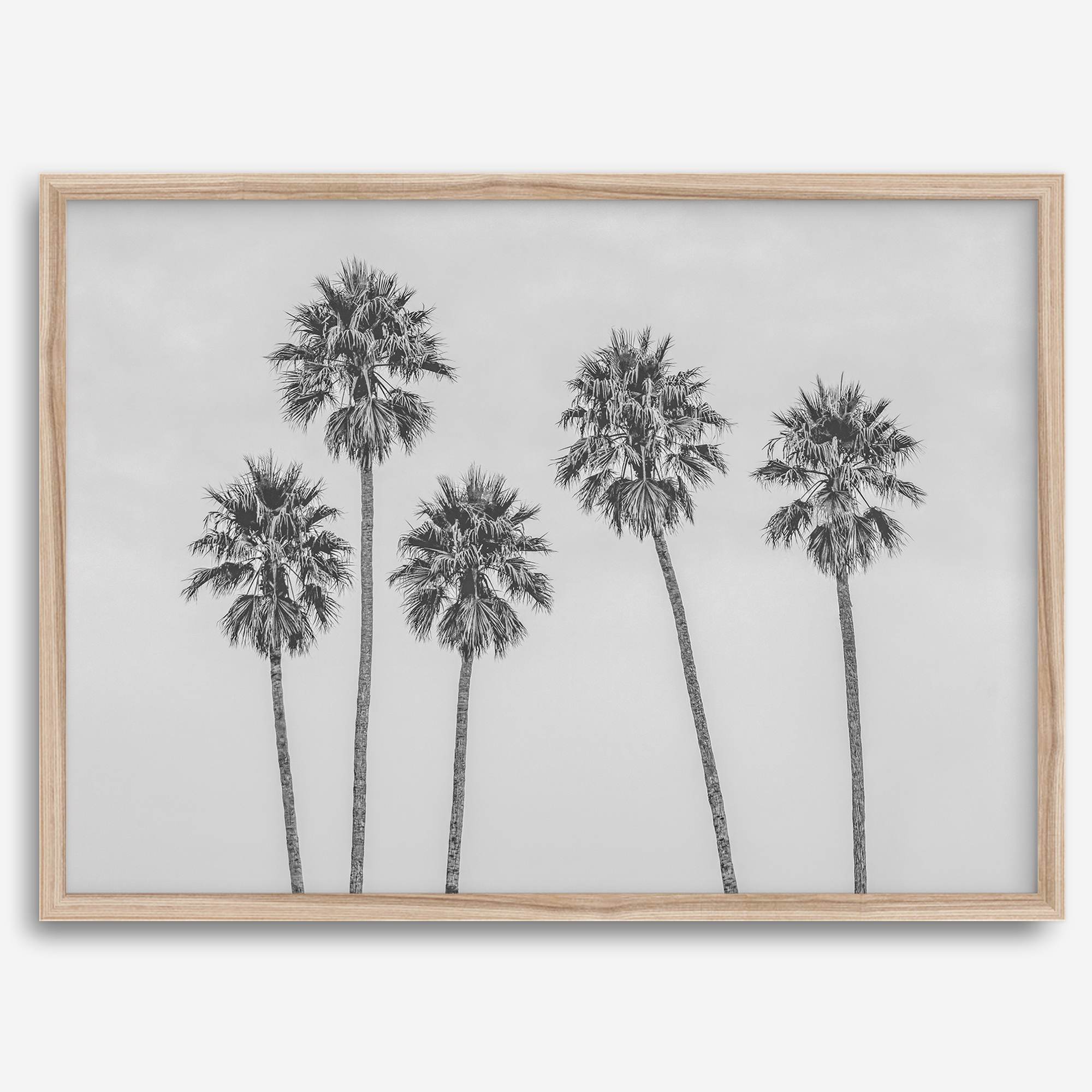 Black and White Palm Tree Fine Art Print - Minimalist Palm Trees Wall Art, Los Angeles Landscape Photography Art Print, Coastal Home Decor