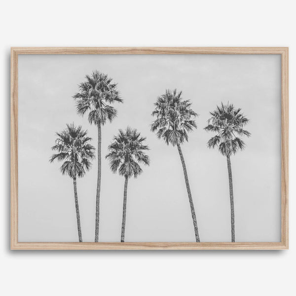 Black and White Palm Tree Fine Art Print - Minimalist Palm Trees Wall Art, Los Angeles Landscape Photography Art Print, Coastal Home Decor