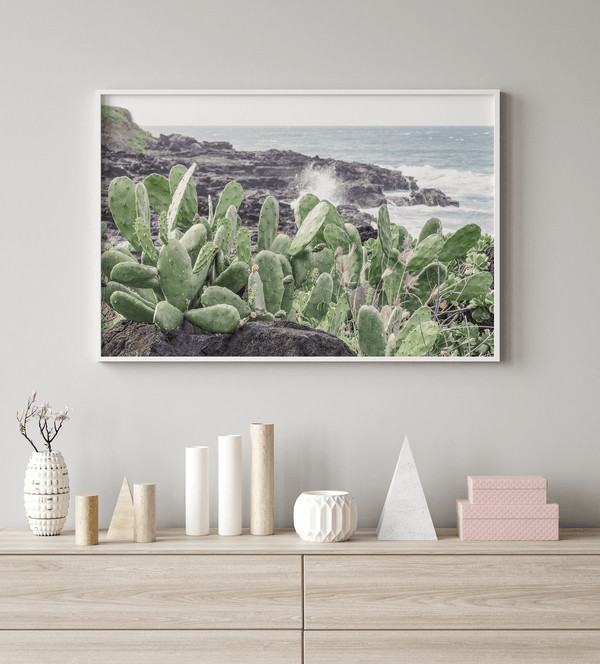 Coastal Cactus - Wow Photo Art