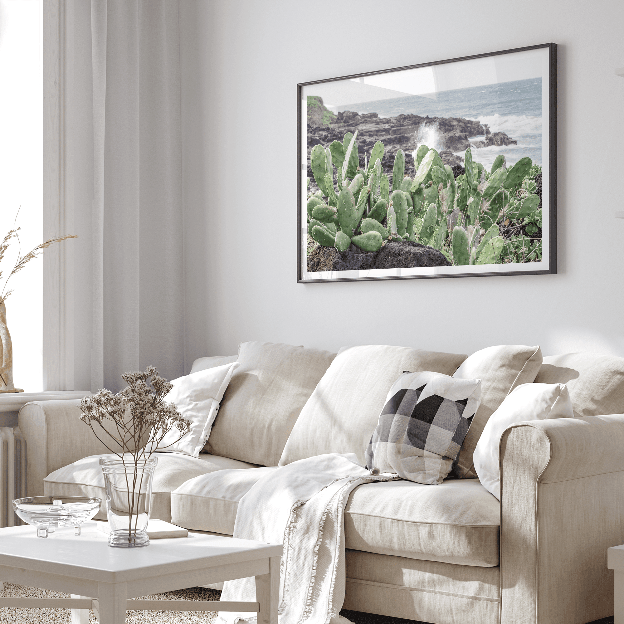 Coastal Cactus - Wow Photo Art