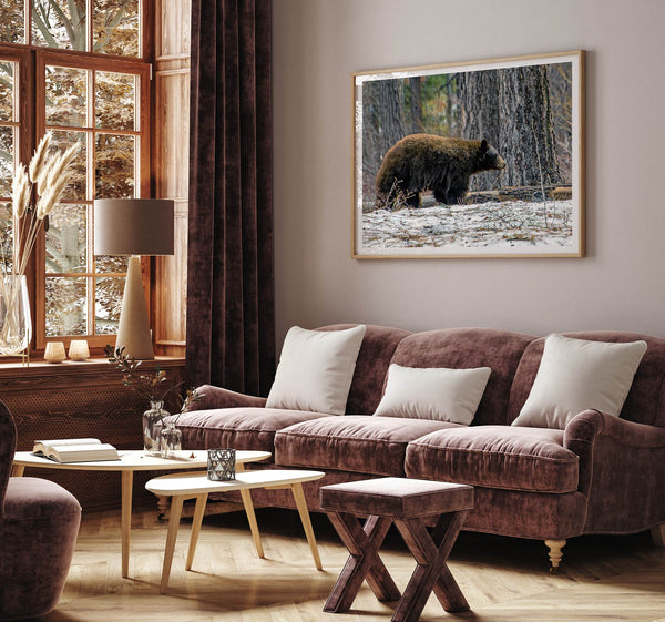 A fine art print of a large Black Bear walking alone in a snowy forest, capturing the raw beauty of nature with a minimalist, framed wildlife design