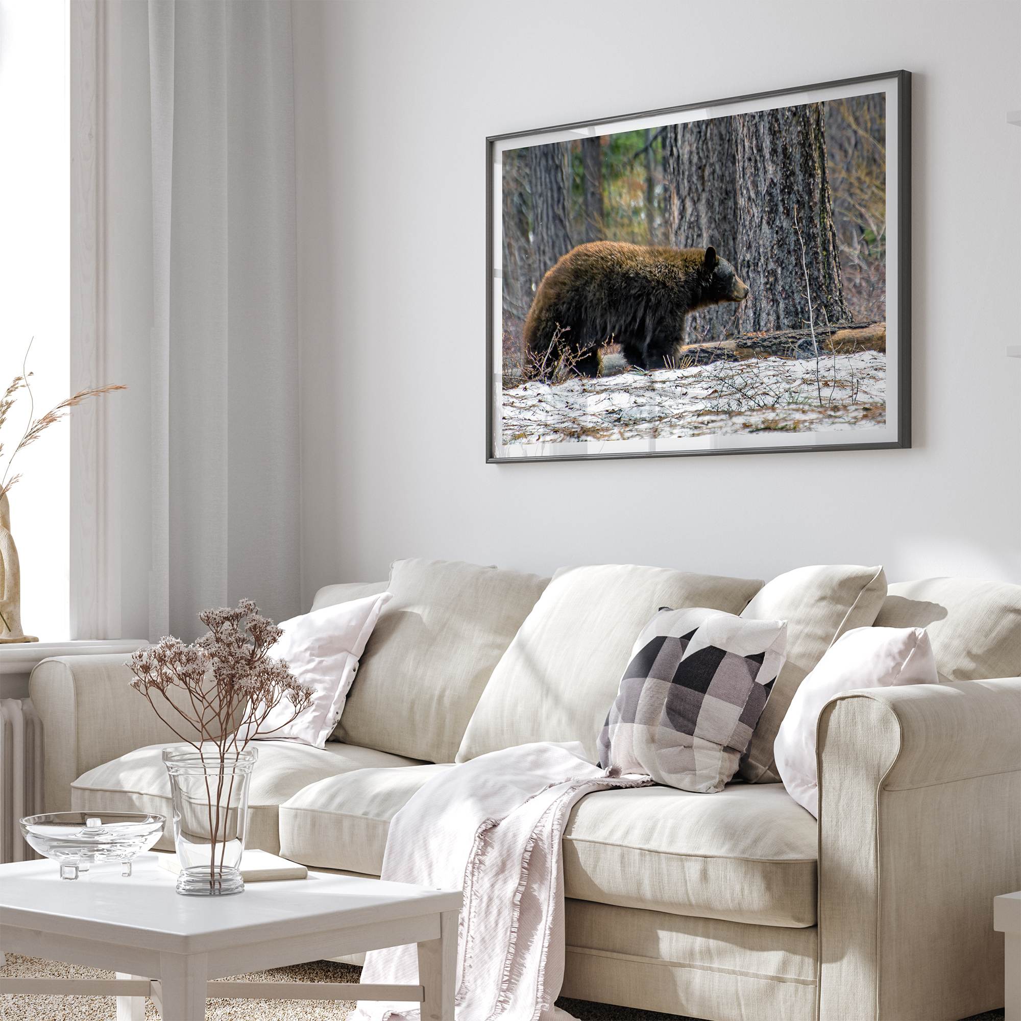 A fine art print of a large Black Bear walking alone in a snowy forest, capturing the raw beauty of nature with a minimalist, framed wildlife design