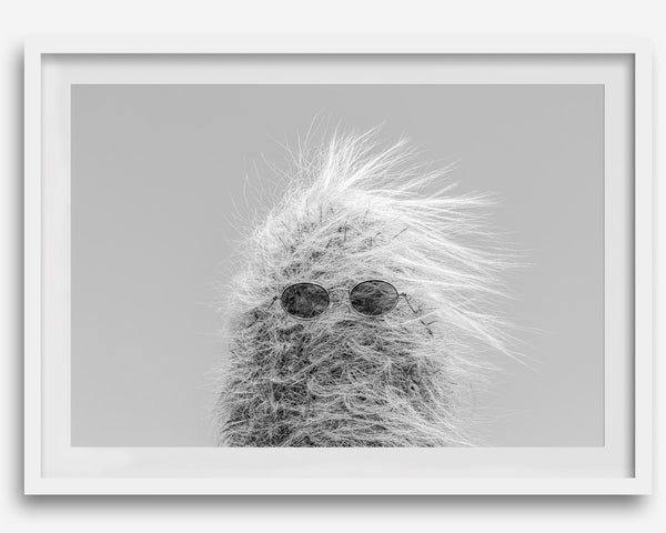 Black-and-white cactus print featuring a windswept cool cactus with sunglasses in a minimalist desert setting.