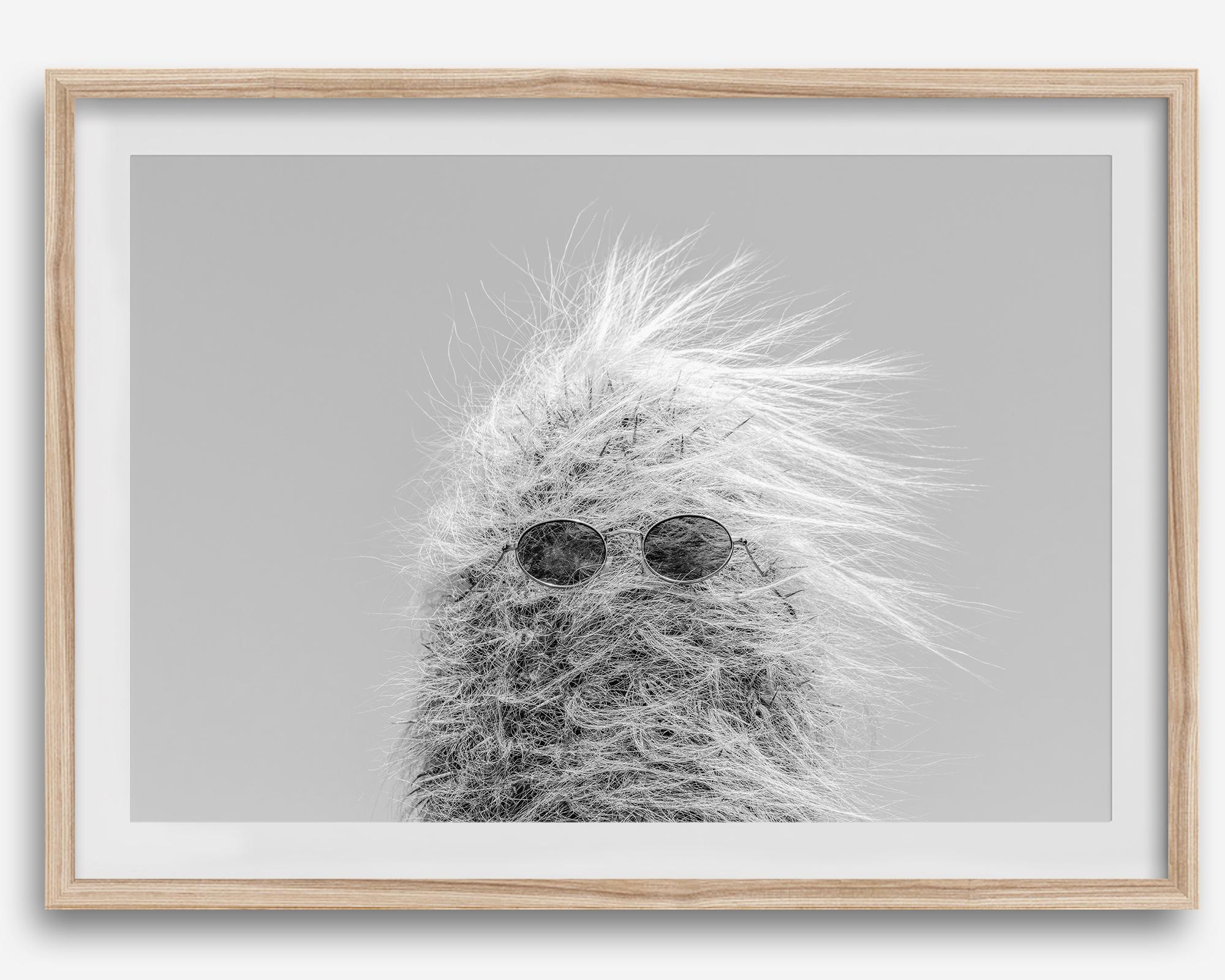 Black-and-white cactus print featuring a windswept cool cactus with sunglasses in a minimalist desert setting.