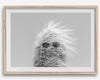 Black-and-white cactus print featuring a windswept cool cactus with sunglasses in a minimalist desert setting.